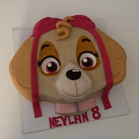 2D Paw patrol SKYE taart NEYLAN