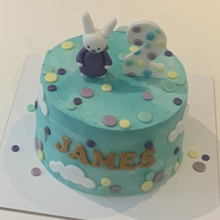 3D Nijntje taart JAMES