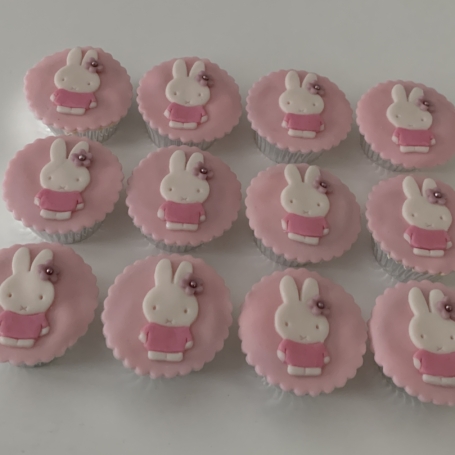 Cupcakes Nijntje JUUL