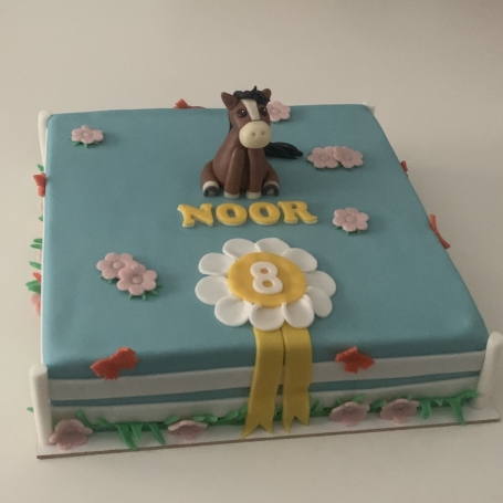 3D Paard taart NOOR