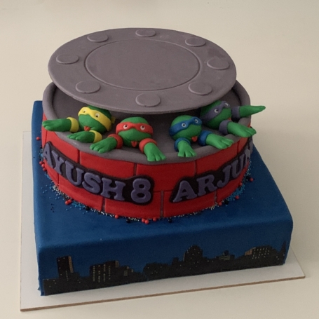 Lagentaart Ninja Turtles AYUSH en ARJUN