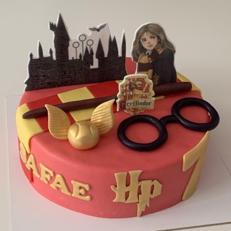 Harry Potter taart SAFAE