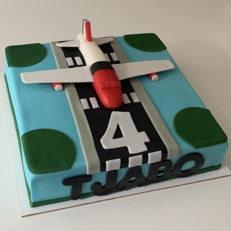 3D vliegtuig taart TJABO