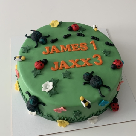 Insecten taart JAMES en JAXX
